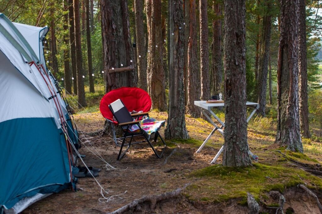Camp Setup
