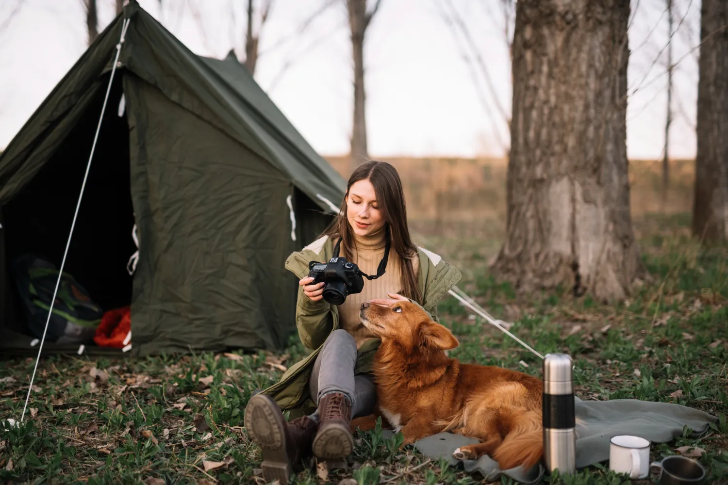 Camping With Your Dogs