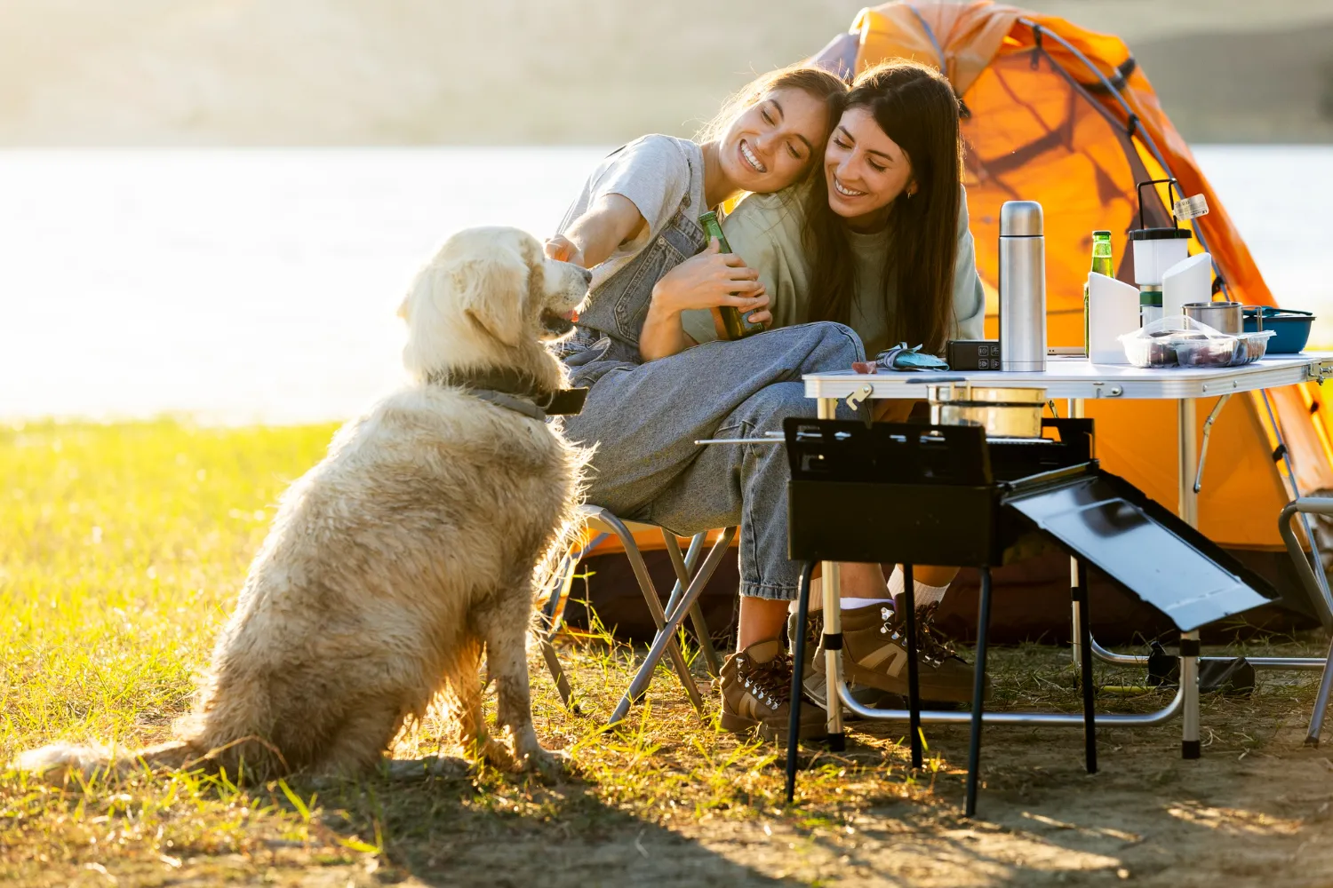Camping With Your Dogs1