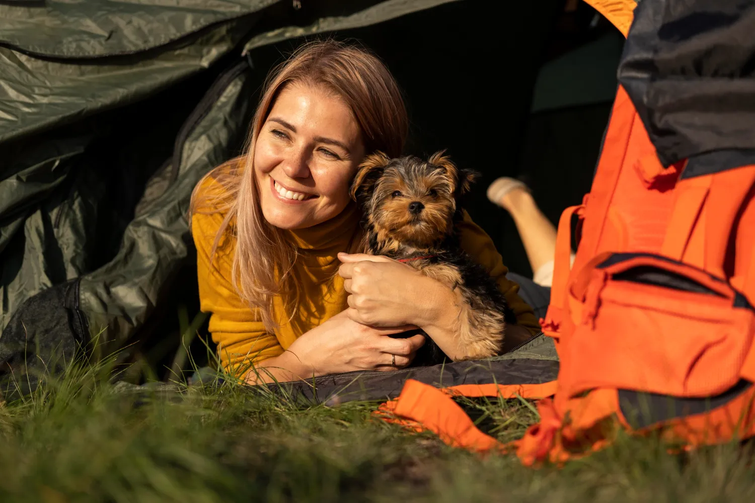 Camping With Your Dogs2