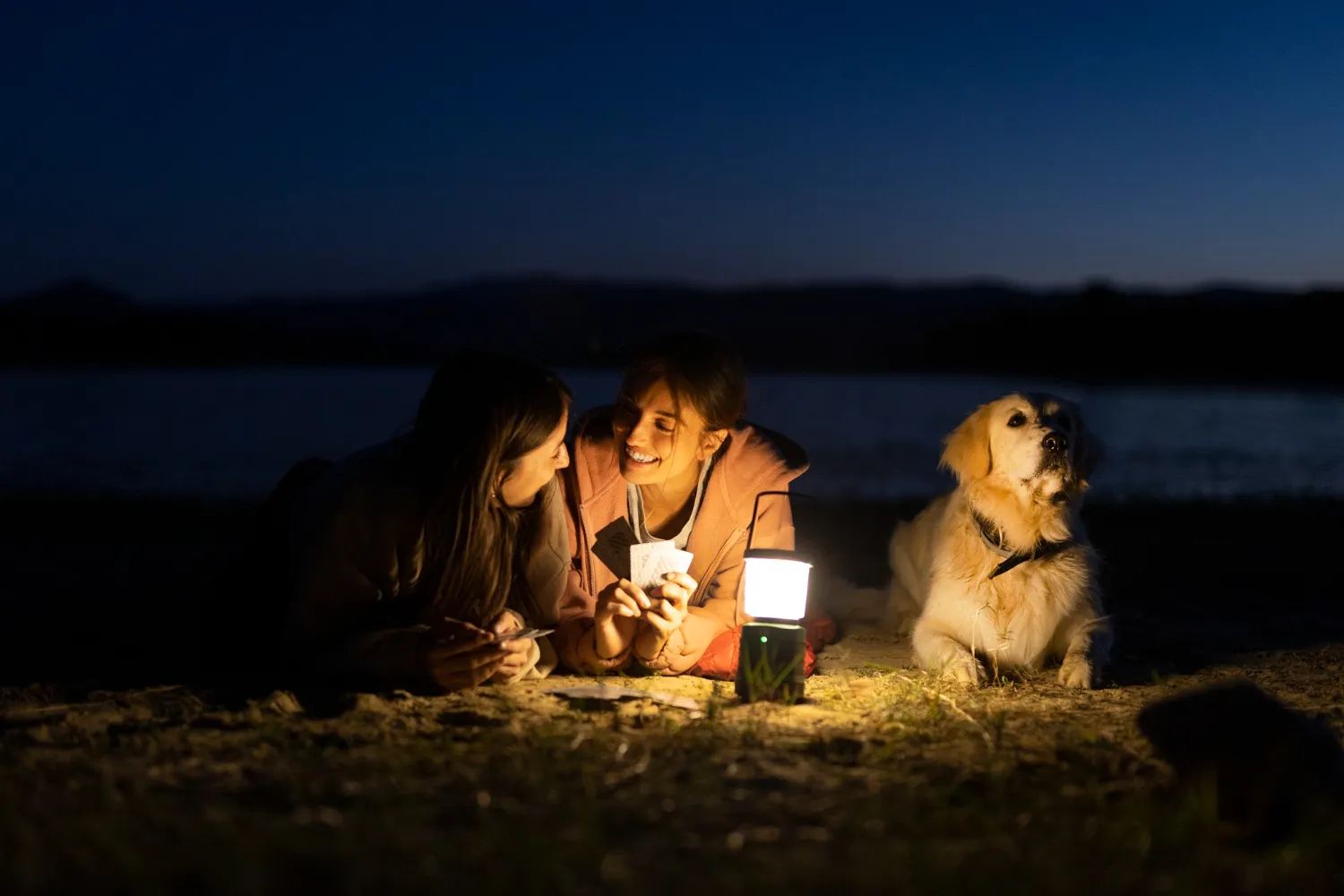 Camping With Your Dogs3