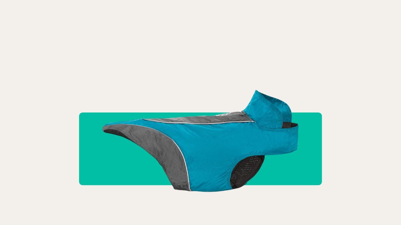 Embark Pets Adventure Rain Jacket