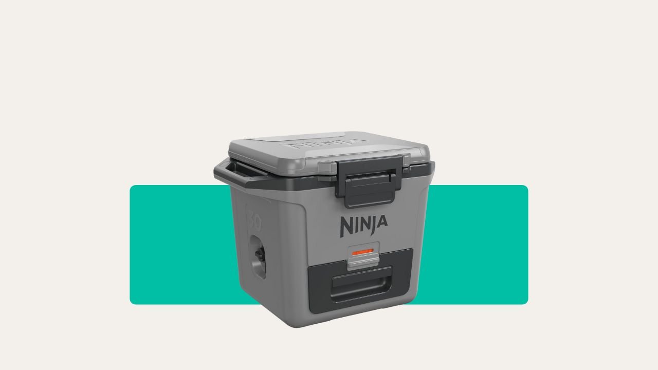 Ninja FrostVault 28L